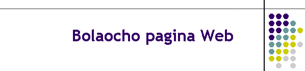 Bolaocho pagina Web