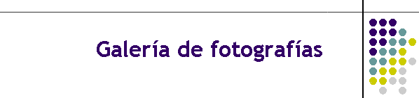 Galera de fotografas